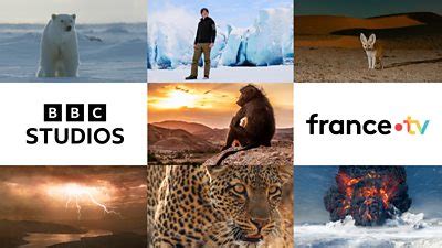 BBC Studios & France Télévisions To Co.